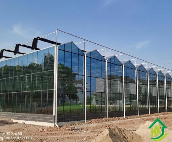 Vegetable Greenhouse Projects