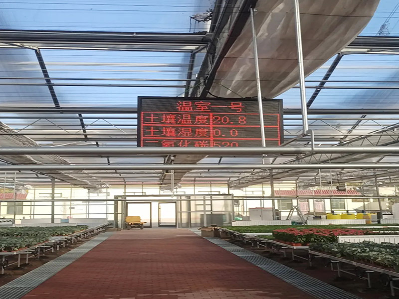 Intelligent System(IOT)