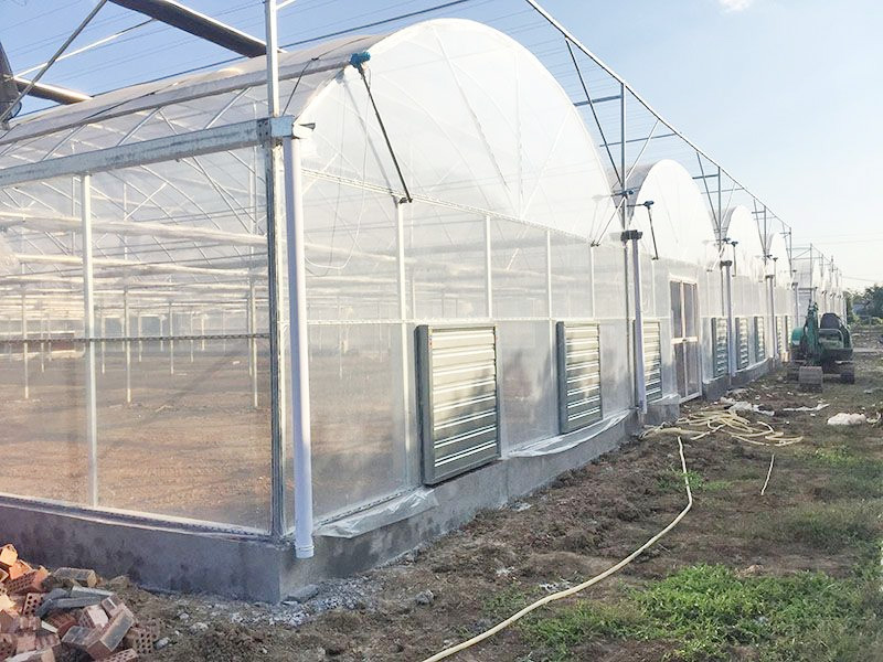 Multispan Plastic Film Greenhouse